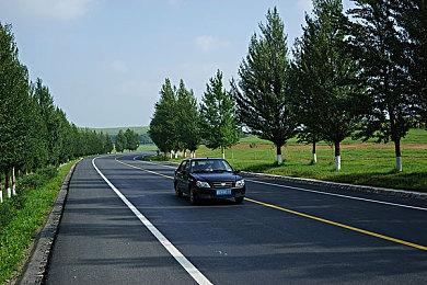 《集合啦！动物森友会》时隔两年半更新 调整新旧主机兼容性