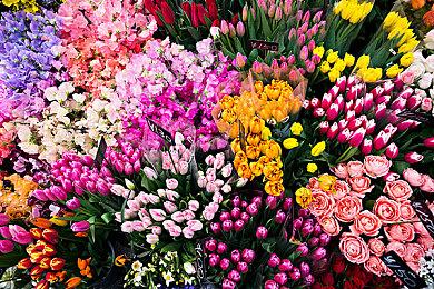 传闻：任天堂新直面会将于6月11日举行